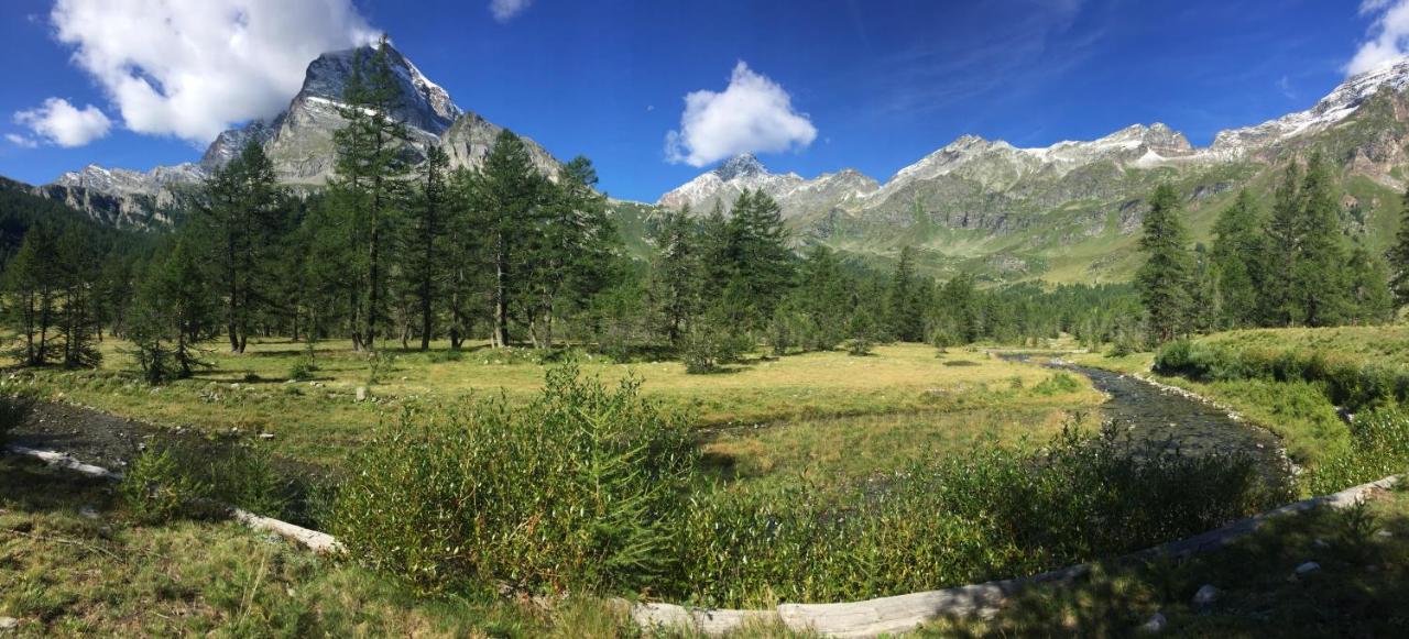 B&B Chalet Il Picchio Varzo Eksteriør billede